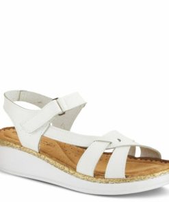 Viennaurban.shopc7df87d0da 1